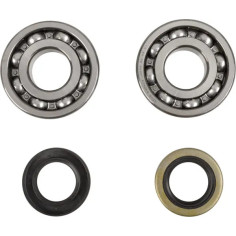 Crankshaft Bearing And Seal Kit