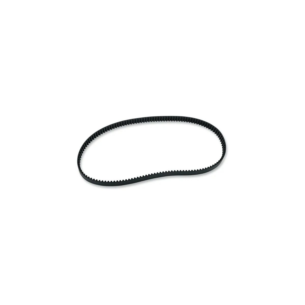 Rear Drive Belt