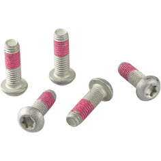 Brake Rotor Bolt Set Silver, Stainless Steel