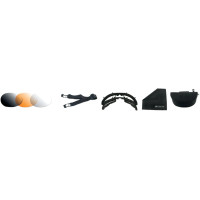 Raptor Ii Sunglasses Black