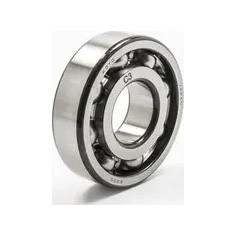 Main Bearing