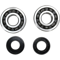 Crankshaft Bearing And Seal Kit