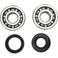 Crankshaft Bearing And Seal Kit