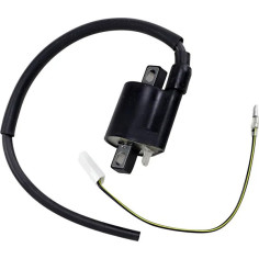 Ignition Coil Black