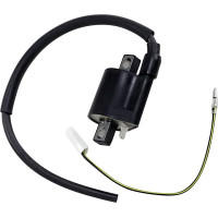 Ignition Coil Black