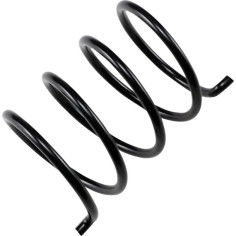 Secondary Clutch Spring Black