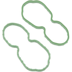Fuel Pump Door Seal Green