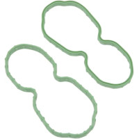 Fuel Pump Door Seal Green