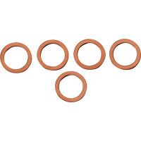Fork Leg Washer