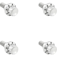 Windshield Titanium 12-point Bolt Kit Silver