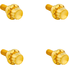 Windshield Titanium 12-point Bolt Kit Gold