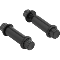 Foot Peg Titanium 12-point Bolt Kit Black