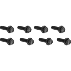 Lifter Block Titanium 12-point Bolt Kit Black