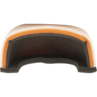 Backfire Air Filter