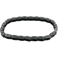 Cam Chain