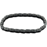 Cam Chain