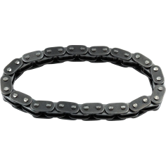 Cam Chain