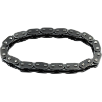 Cam Chain