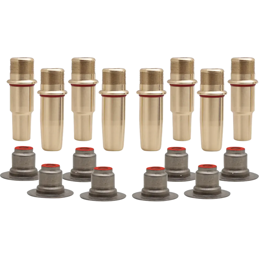 Valve Guide Kit