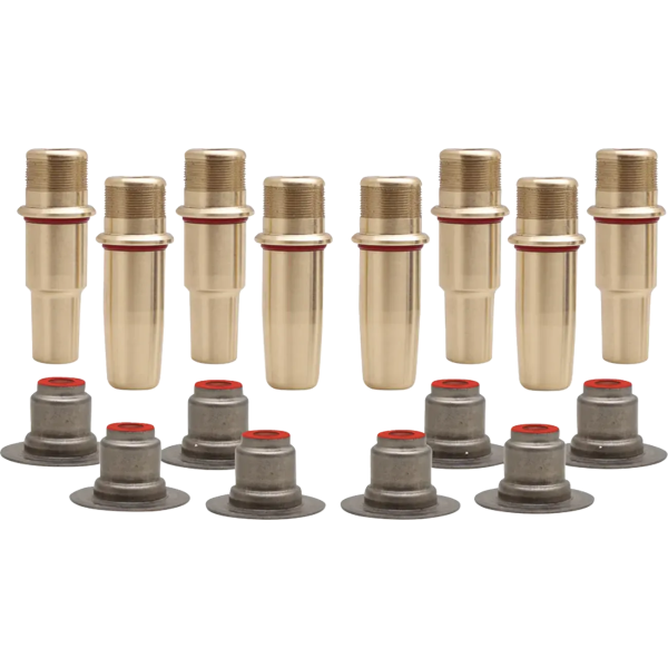 Valve Guide Kit
