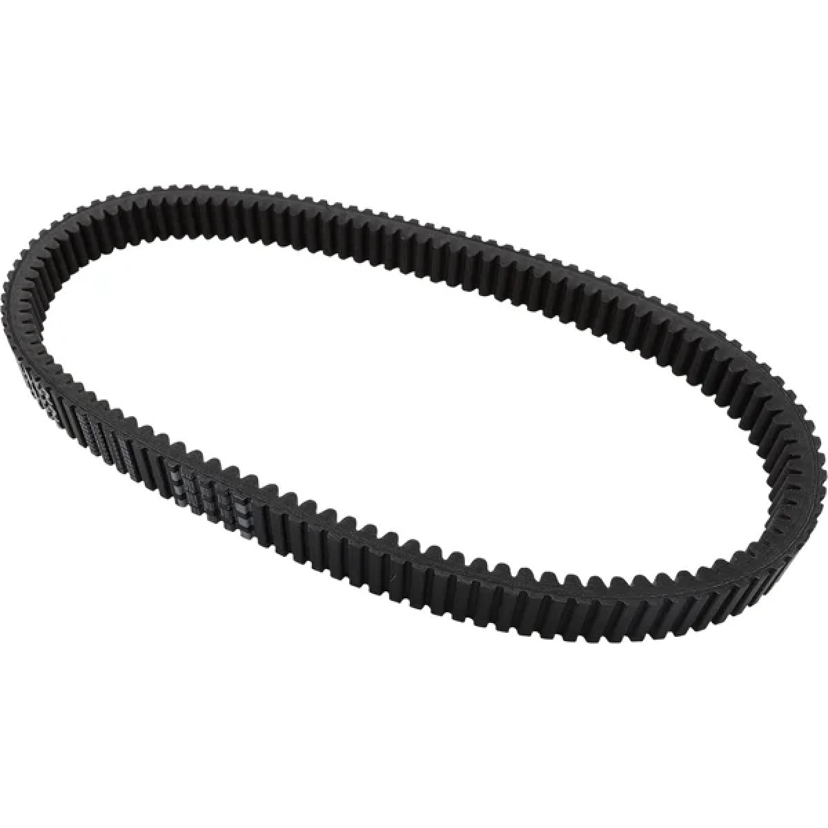 G-Force Workhorse - Drive Belt Black