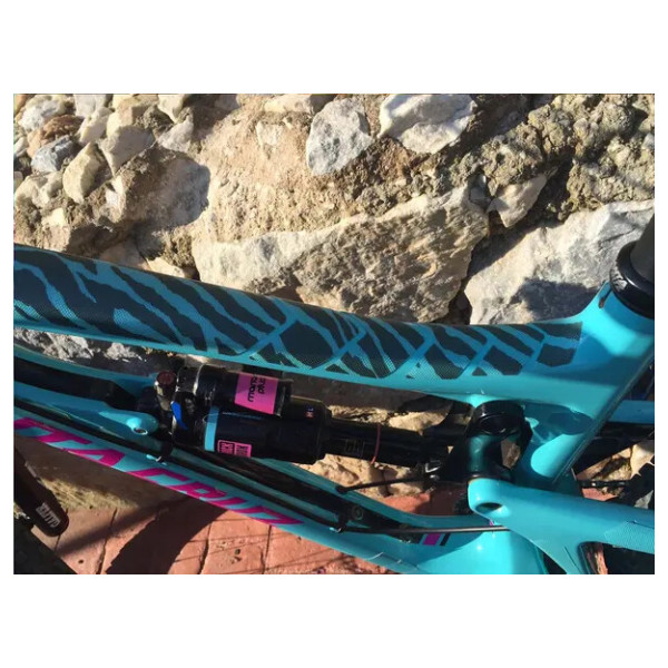 Frame Guard Basic Protection Zebra Clear