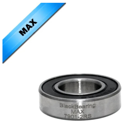 Max Bearing