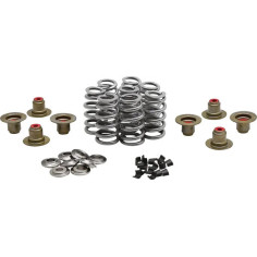 Beehive Valve Spring Kit