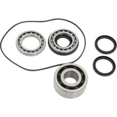 Differential Seal Kit