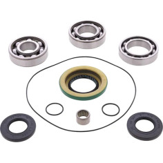 Differential Bearing-seal Kit