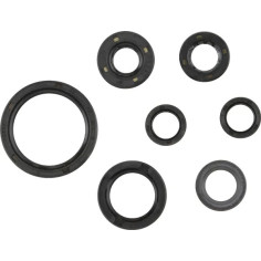 Oil Seal Kit