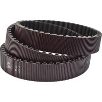 Drive Belt